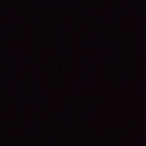 Meet your Posher, Phillip